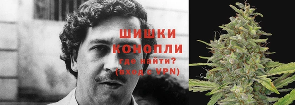 тгк Волосово