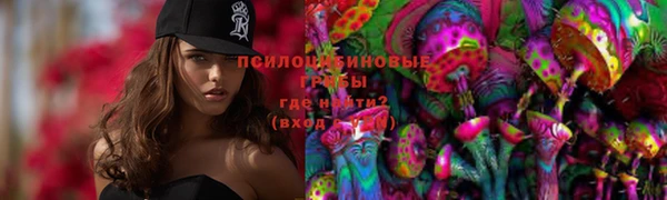 тгк Волосово