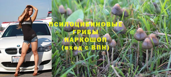соль ск Володарск