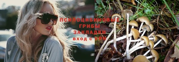 тгк Волосово