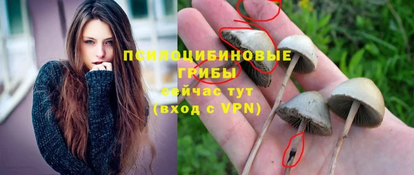 тгк Волосово