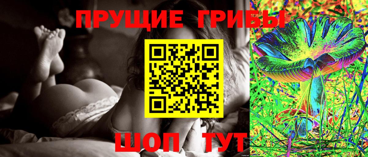 Псилоцибиновые грибы Psilocybine cubensis  Галлюциногенные грибы Psilocybe  Назарово  Вход с VPN 
